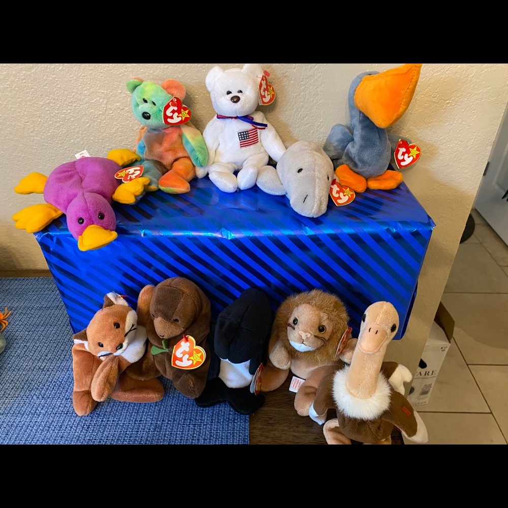 Beanie Baby starter pack